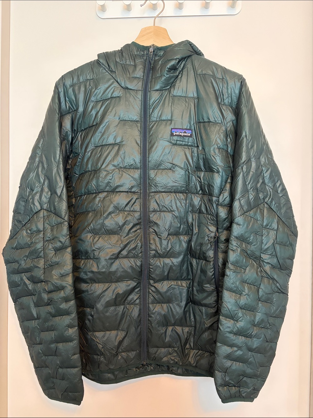 Patagonia Men's Micro Puff Hoody (Previous Sample)